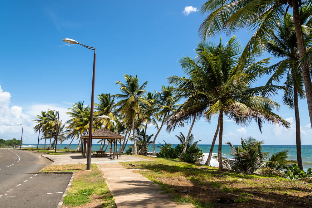 location voiture guadeloupe